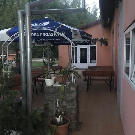 Hotel Vila Tanamera Moneasa Exterior foto